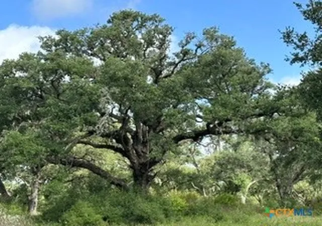 Photo 3 of Land for sale at 0000 Mission Valley Rd, Cuero, TX 77954 | MLS# 626025 | Listing updated on 2026-10-02