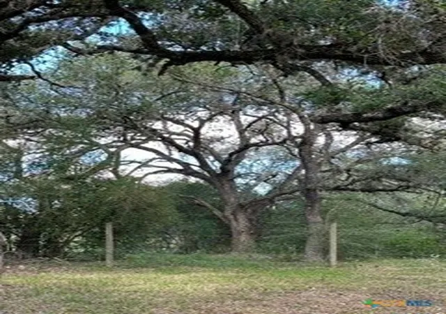 Photo 3 of House for sale at 0000 Mission Valley Rd, Cuero, TX 77954 | MLS# 626025 | Listing updated on 2026-10-02