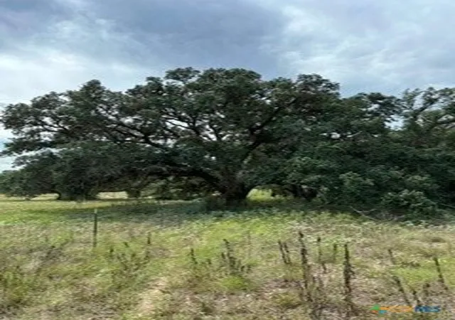 Photo 4 of House for sale at 0000 Mission Valley Rd, Cuero, TX 77954 | MLS# 626025 | Listing updated on 2026-10-02