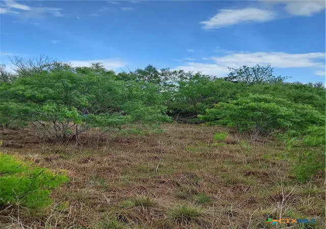 Photo 1 of Land for sale at 1060 Fox Ln, Lockhart, TX 78644 | MLS# 626669 | Listing updated on 2026-10-08