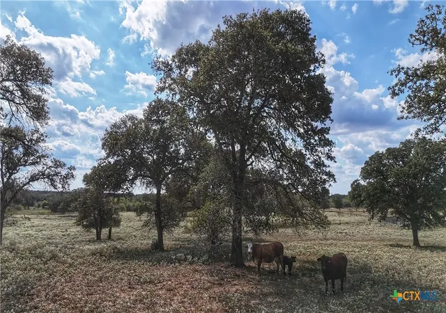 Photo 3 of Land for sale at Tract 3 Highway 304, Harwood, TX 78632 | MLS# 626686 | Listing updated on 2026-10-02