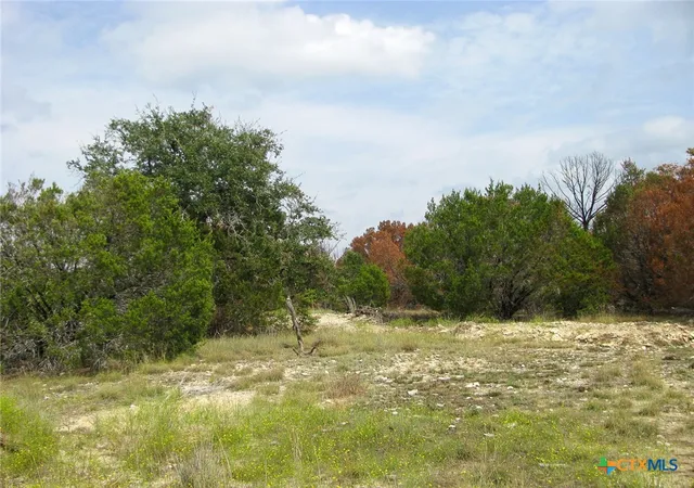 Land for sale at Lot 102 Ph 6 Private Rd 42101, Evant, TX 76525 | MLS# 626772