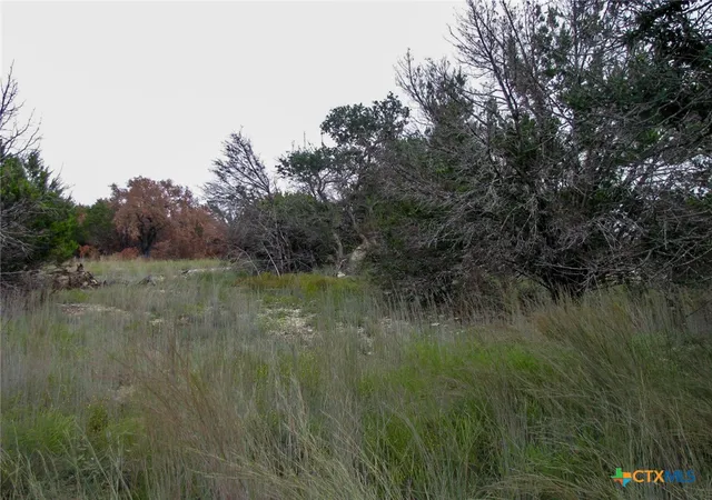 Photo 2 of Land for sale at Lot 102 Ph 6 Private Rd 42101, Evant, TX 76525 | MLS# 626772 | Listing updated on 2026-10-01