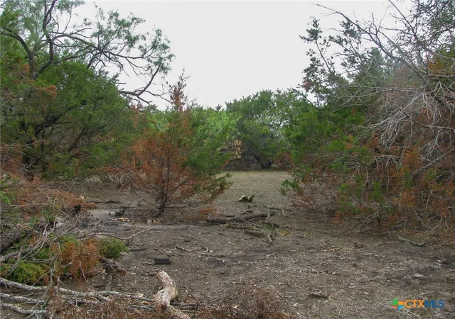 Photo 3 of Land for sale at Lot 102 Ph 6 Private Rd 42101, Evant, TX 76525 | MLS# 626772 | Listing updated on 2026-10-01