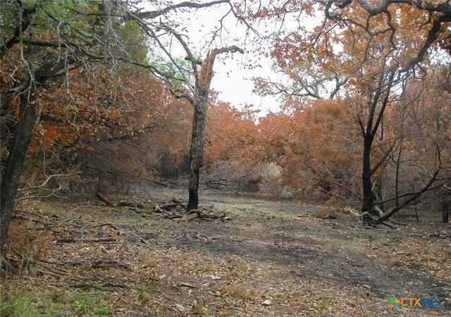 Photo 4 of Land for sale at Lot 102 Ph 6 Private Rd 42101, Evant, TX 76525 | MLS# 626772 | Listing updated on 2026-10-01