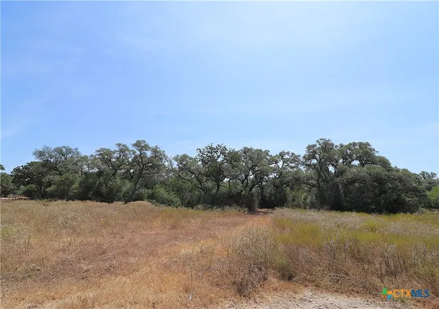 Photo 3 of House for sale at Tbd Danforth Rd, Goliad, TX 77963 | MLS# 626656 | Listing updated on 2026-10-02