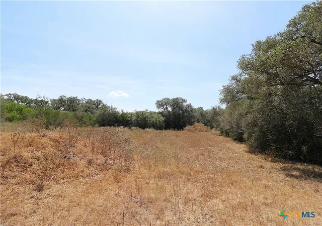 Photo 4 of House for sale at Tbd Danforth Rd, Goliad, TX 77963 | MLS# 626656 | Listing updated on 2026-10-02
