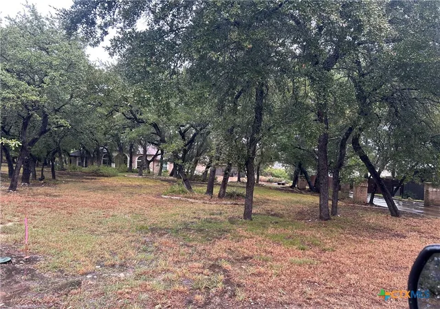 Photo 3 of Single family home for sale at 9783 Arroyo Dr, Belton, TX 76513 | MLS# 626812 | Listing updated on 2026-10-05