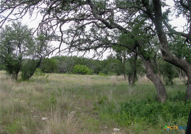 Photo 2 of Land for sale at Lot 106 Ph 6 Pr 42101, Evant, TX 76525 | MLS# 627151 | Listing updated on 2026-10-07