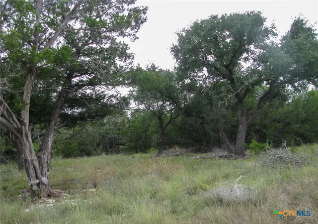 Photo 3 of Land for sale at Lot 106 Ph 6 Pr 42101, Evant, TX 76525 | MLS# 627151 | Listing updated on 2026-10-07