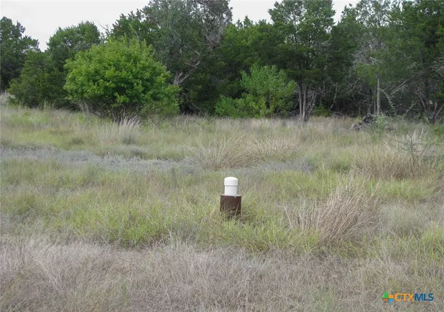 Photo 4 of Land for sale at Lot 106 Ph 6 Pr 42101, Evant, TX 76525 | MLS# 627151 | Listing updated on 2026-10-07