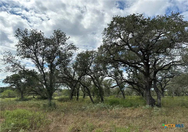 Photo 1 of Land for sale at Tract 4 Regan, Victoria, TX 77905 | MLS# 627148 | Listing updated on 2026-10-07