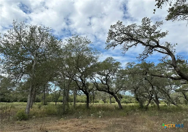 Photo 3 of Land for sale at Tract 4 Regan, Victoria, TX 77905 | MLS# 627148 | Listing updated on 2026-10-07