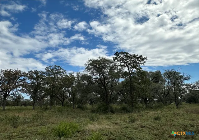 Photo 4 of Land for sale at Tract 4 Regan, Victoria, TX 77905 | MLS# 627148 | Listing updated on 2026-10-07
