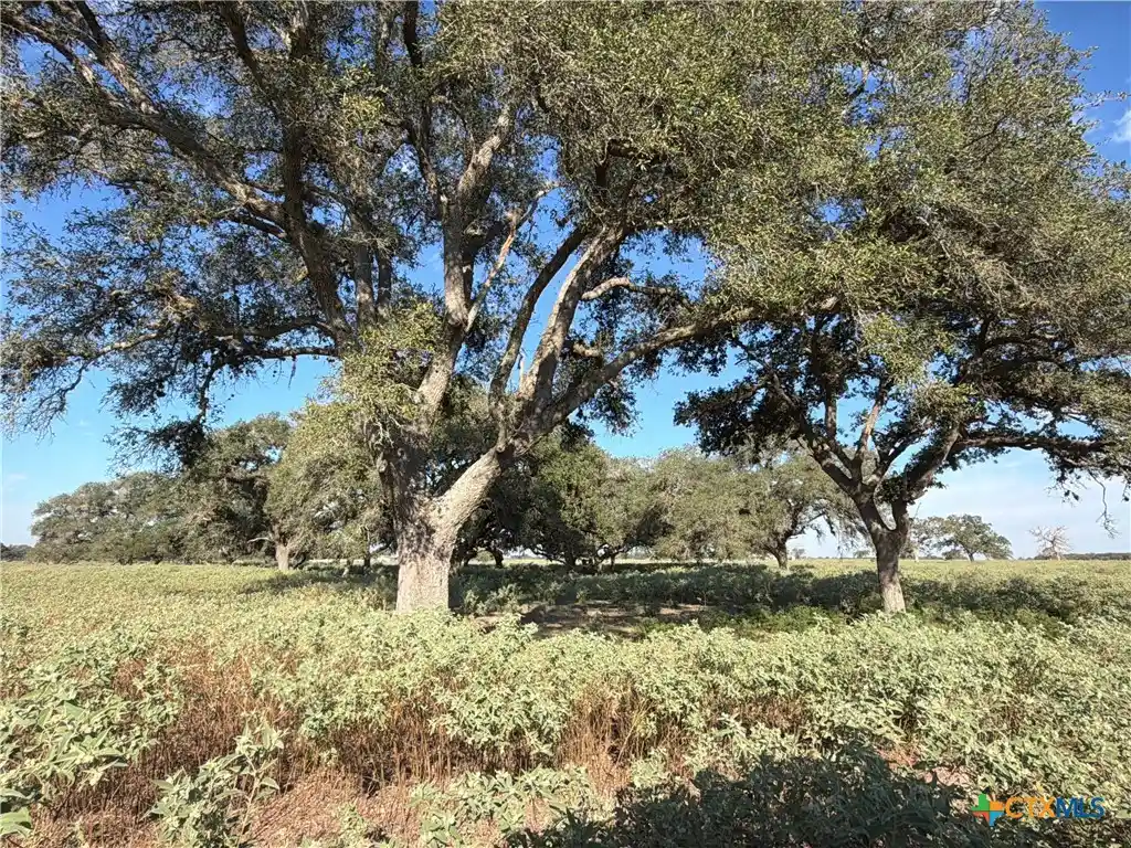 Land for sale at 1665 Garrett Rd, Yoakum, TX 77995 | MLS# 627481