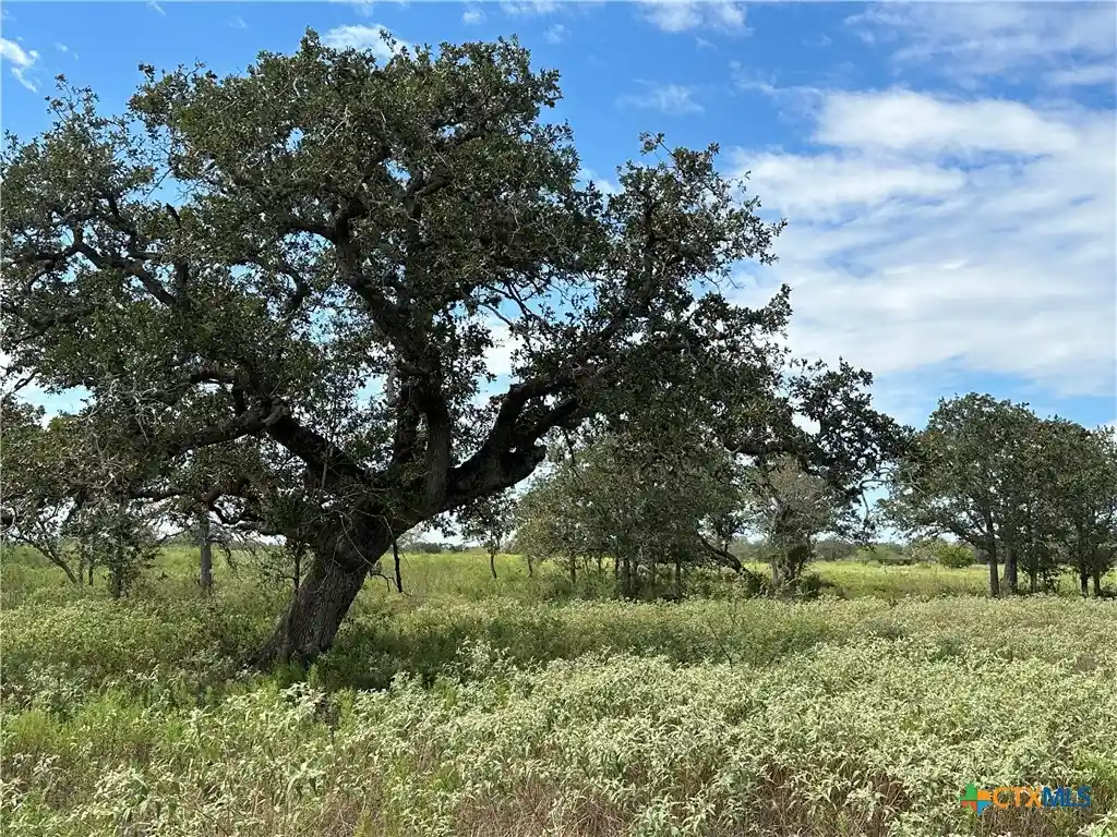Photo 1 of Land for sale at Tract 1 Regan Ln, Victoria, TX 77905 | MLS# 627666 | Listing updated on 2026-10-14