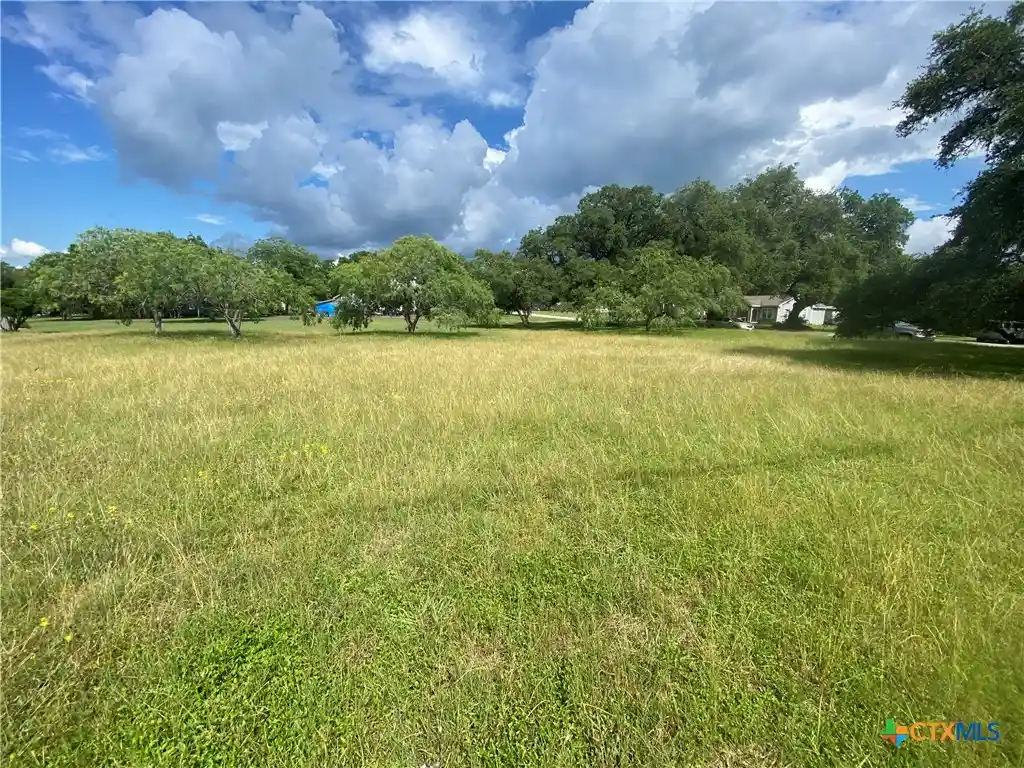Photo 1 of Land for sale at 000 N San Patricio St, Goliad, TX 77963 | MLS# 627807 | Listing updated on 2026-10-15