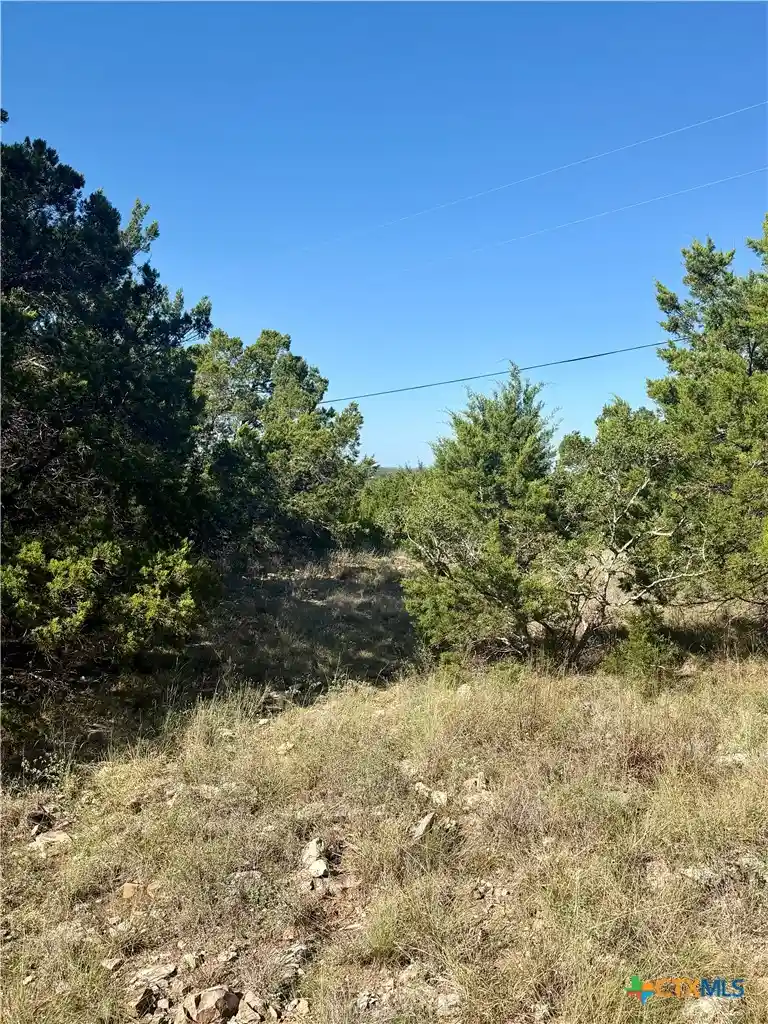 Photo 1 of Land for sale at 905 Mimosa Ct, Fischer, TX 78623 | MLS# 628970 | Listing updated on 2026-10-29