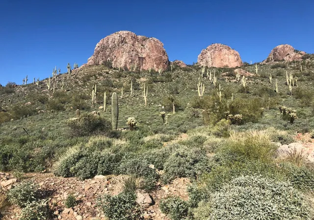 Photo 3 of Land for sale at 9756 E Dead Sure Pl #9, Gold Canyon, AZ 85118 | MLS# 6435810 | Listing updated on 2025-10-30