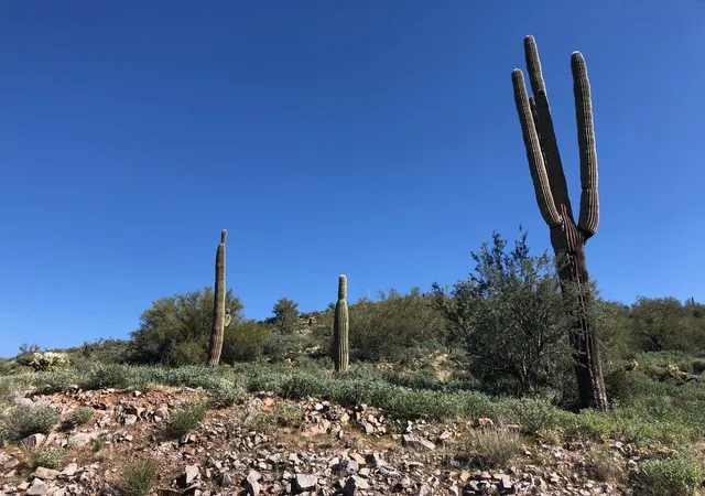 Photo 1 of Land for sale at 3863 S Avenida De Angeles #103, Gold Canyon, AZ 85118 | MLS# 6435773 | Listing updated on 2025-10-30