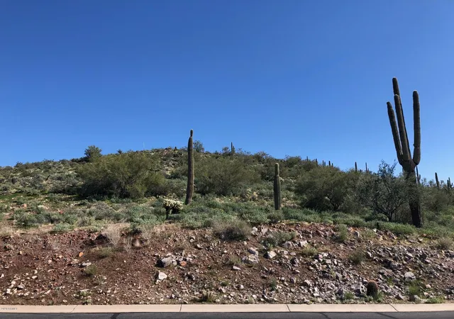 Photo 4 of Land for sale at 3863 S Avenida De Angeles -- #103, Gold Canyon, AZ 85118 | MLS# 6435773 | Listing updated on 2025-10-30