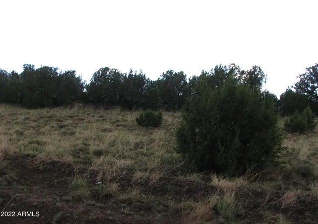 Homes for sale in Concho, AZ | 21 & 23 County Road 8001 #277 & 278, Concho, AZ 85924 | MLS# 6435242
