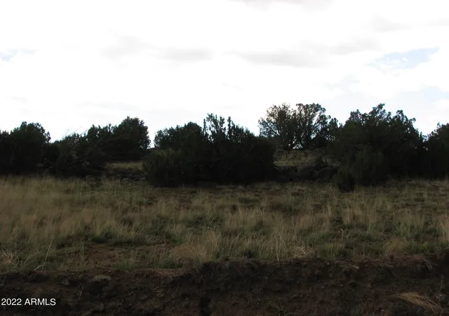 Homes for sale in Concho, AZ | 21 & 23 County Road 8001 #277 & 278, Concho, AZ 85924 | MLS# 6435242