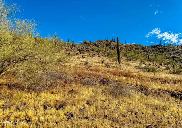 Photo 4 of Land for sale at 0 W Lantern Dr #2, Maricopa, AZ 85139 | MLS# 6504338 | Listing updated on 2026-07-12