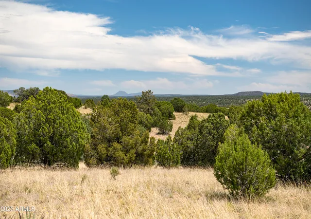 Photo 3 of Land for sale at 000-A Pine Ridge Lot A Rd #50, Seligman, AZ 86337 | MLS# 6571554 | Listing updated on 2026-09-11
