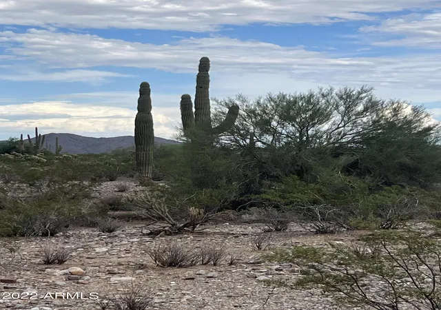 Photo 3 of Land for sale at 0 W Dove Vly Rd, Phoenix, AZ 85085 | MLS# 6609350 | Listing updated on 2026-07-29