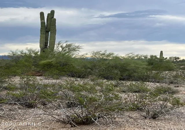 Photo 4 of Land for sale at 0 W Dove Vly Rd, Phoenix, AZ 85085 | MLS# 6609350 | Listing updated on 2026-07-29