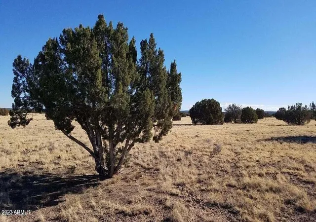4th image of 7687/7693 Arroyo Plata Dr #42, Show Low, AZ 85901 | MLS# 6626675