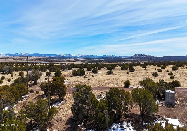 Photo 3 of Land for sale at 41 Antelope Ave #464, Concho, AZ 85924 | MLS# 6838222 | Listing updated on 2026-10-01