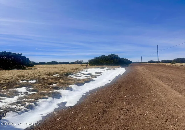 Photo 4 of Land for sale at 41 Antelope Ave #464, Concho, AZ 85924 | MLS# 6838222 | Listing updated on 2026-10-01