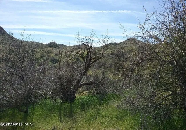 Photo 3 of Land for sale at 4200 N Castle Hot Springs Rd #0, Morristown, AZ 85342 | MLS# 6708075 | Listing updated on 2026-01-12