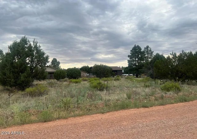Photo 3 of Land for sale at 2222 Sitgreaves Dr #270, Overgaard, AZ 85933 | MLS# 6738944 | Listing updated on 2026-07-22