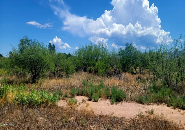Photo 3 of Land for sale at Tbd Hwy 191 -- #A, Elfrida, AZ 85610 | MLS# 6746163 | Listing updated on 2026-10-07