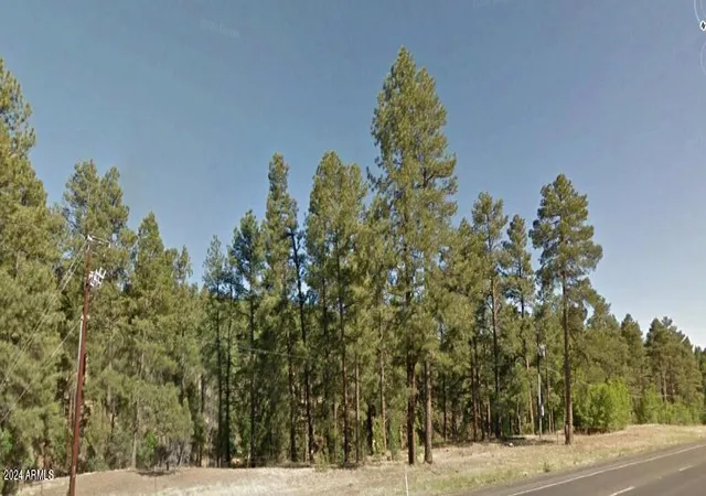 2nd image of 2351 S White Mountain Rd, Show Low, AZ 85901 | MLS# 6758262