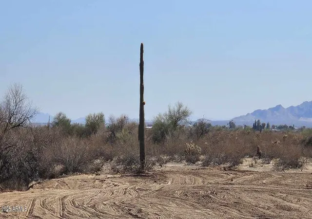 Homes for sale in Wittmann, AZ | 216X0 W Galvin St #1, Wittmann, AZ 85361 | MLS# 6781661