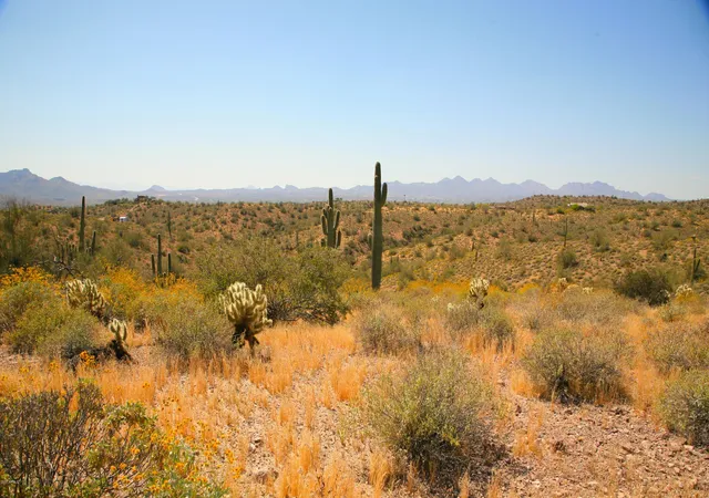 Photo 1 of Land for sale at 13xxx N Ambush Ln #11, Fort Mcdowell, AZ 85264 | MLS# 6797422 | Listing updated on 2025-01-16