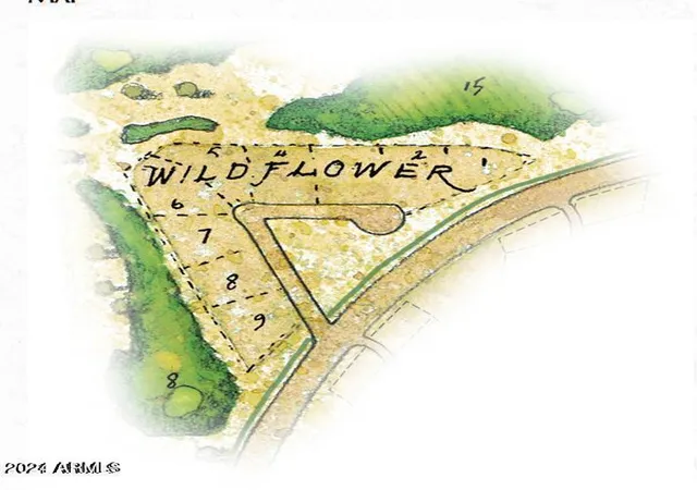 Photo 4 of Land for sale at 7504 E Wildflower Ln #6, Gold Canyon, AZ 85118 | MLS# 6793660 | Listing updated on 2026-09-29