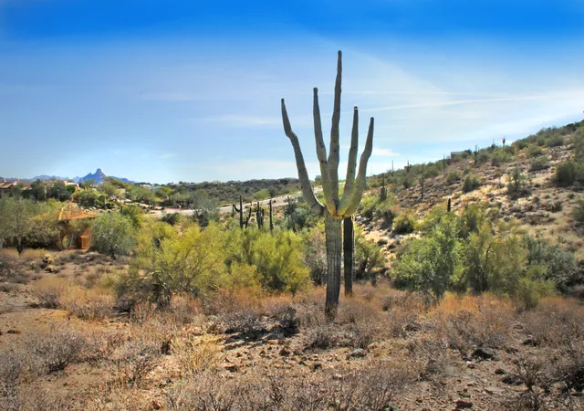 Homes for sale in Fountain Hills, AZ | 11664 N Sunset Vista Dr #45, Fountain Hills, AZ 85268 | MLS# 6794165
