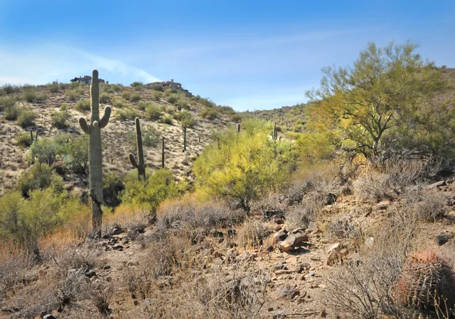 Homes for sale in Fountain Hills, AZ | 11664 N Sunset Vista Dr #45, Fountain Hills, AZ 85268 | MLS# 6794165
