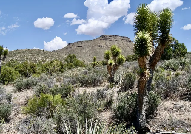 4th image of Xxxxx E Diamond Bar Rd E, Meadview, AZ 86444 | MLS# 6796457