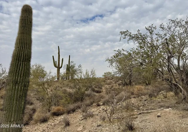 Photo 3 of Land for sale at 43925 N Saguaro Blossom Ln, Morristown, AZ 85342 | MLS# 6801306 | Listing updated on 2026-07-06