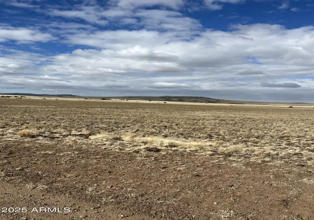 Photo 1 of Land for sale at Tbd N3540 Lot 500 #0, Concho, AZ 85924 | MLS# 6806700 | Listing updated on 2026-01-08