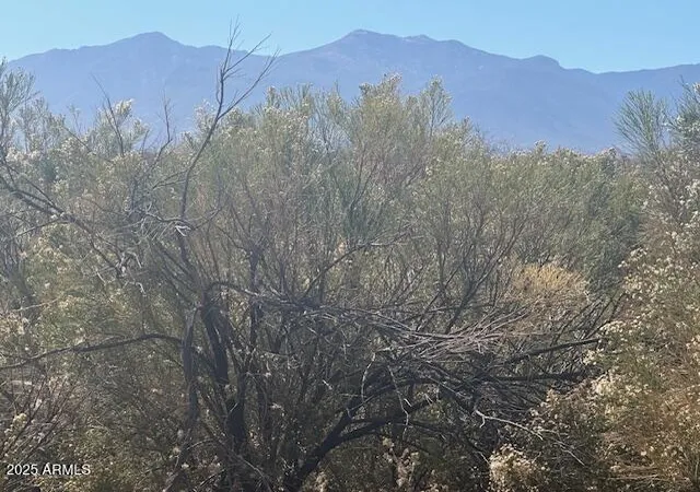Photo 1 of Land for sale at Tbd E Highway 90 #1, Sierra Vista, AZ 85635 | MLS# 6808499 | Listing updated on 2026-01-27