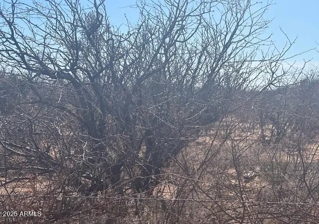 3rd image of Tbd 6 Ac'S On Hwy 90 -- #4, Sierra Vista, AZ 85635 | MLS# 6811079