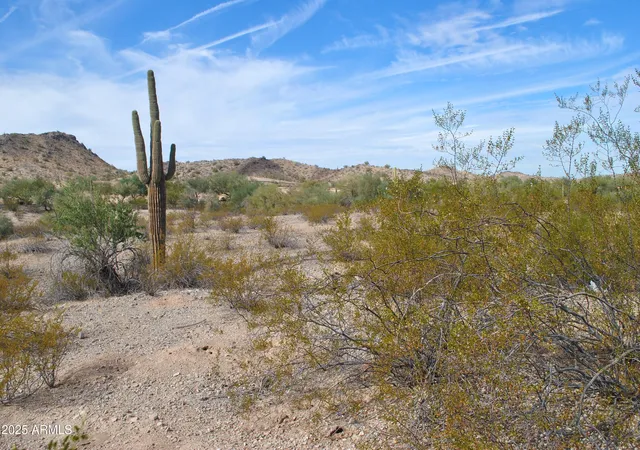1st image of 8564 San Filipe Dr #4, Goodyear, AZ 85338 | MLS# 6817330
