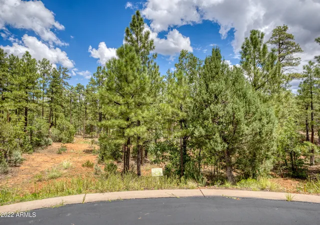 3rd image of 2080 S High Sierra Ct #86A, Show Low, AZ 85901 | MLS# 6829279